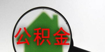 便捷高效 公積金咨詢服務(wù)解析