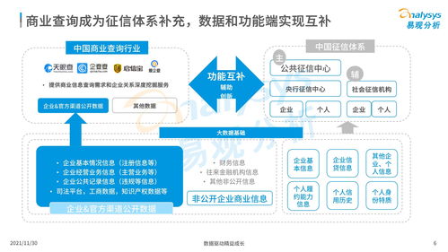 2021年中國商業(yè)查詢市場(chǎng)分析 數(shù)字化浪潮下的商務(wù)信息咨詢新生態(tài)