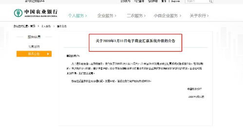 商業承兌匯票信息查詢系統 提升商務信息咨詢效率的關鍵工具